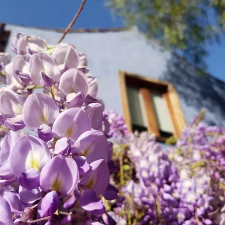 La Maga Casa Rural Сasa de vacaciones Santa Brígida